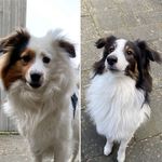 Elliot & Bennett - @elliot.and.bennett - Instagram