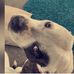 Elliot Bennett - Facebook