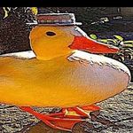 elliot bennett - @elliot.bennett04 - Instagram