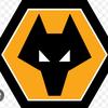 Wolves - @elliottbird - TikTok