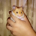 Elliot Blanco - Facebook