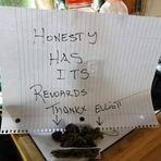 Elliott Blomquist - Facebook