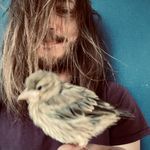@elliotburke - Instagram