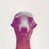 elliot.campos - @str1kkn - TikTok