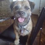 Duncan Elliot - @duncanelliot2685 - Instagram