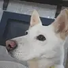 Elliot Duncan - @elliot.duncan8 - TikTok