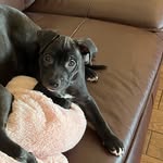 Elliot Fields-Rapley - @elliotfieldsrapley - Instagram
