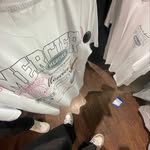 Elliot ‼️ - @elliot_finegan - Instagram
