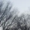 elliotflowers159 - @elliotflowers159 - TikTok