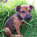 Elliot - @elliot.frankel1 - Instagram