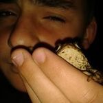 Elliot Freeman - @elliotfreeman53 - Instagram