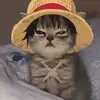 Elliot_Editz - @elliotfuller46 - TikTok