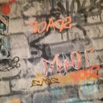Elliot Fuller - @monkey.elliot - Instagram