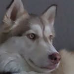 Elliot Fullerton - @elliotfullerton1477 - Instagram