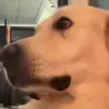 elliotfuller1 - @elliotfuller1 - TikTok