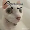Fuller - @elliott.fuller - TikTok