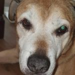 Elliot Gardner - @elliot.gardner.779 - Instagram