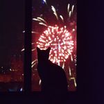Elliot Gordon - @elliot_city_kitty - Instagram