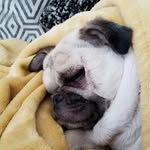 Elliot Gordon - @elliot.g.07 - Instagram