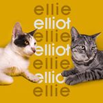 Elliot Gray y Ellie White - @soelliotgray - Instagram