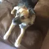 elliott_gray - @elliott_gray - TikTok