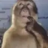 Elliot - @elliotisgreen - TikTok