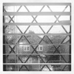 Elliot Greenfield - @theworldofgonz - Instagram