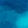 Elliot Gregory - @elliot.gregory0 - TikTok