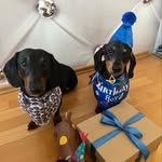 Elliot&Gregory - @elliotandgregory - Instagram