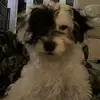 Elliot Griffiths - @elliot.griffiths07 - TikTok