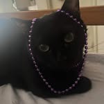 Elliot Grimes - @jojoji_519 - Instagram