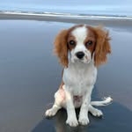 Elliot Guzman - @elliots.adventures_ - Instagram