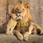 Elliot Guzmán Andrade - @saidricardoroyal - Instagram
