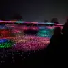 haley_elliot - @haley_elliot - TikTok