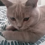 Elliot Hall - @_elliot_hall_ - Instagram