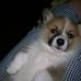 Elliot Han - Facebook