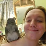 Elliot Harding - @accidental_ludwig - Instagram