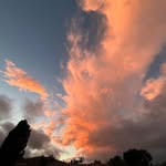 elliot hogan - @elliot_hogan_13 - Instagram