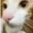 Elliot Jackson - Facebook