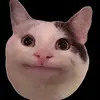 Elliott - @elliottjefferies - TikTok