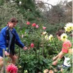 Elliot Johns - @elliot_johns - Instagram