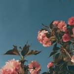 Elliot Joyce - @elliot_joyce_priv - Instagram