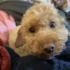 Its_ya_boy_Elliot - @elliot_kline - TikTok