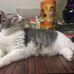 Elliot Kwon - Facebook