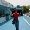 Elliott Lam - @elliottlam1126 - TikTok