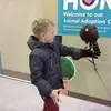elliotlamb24 - @elliotlamb243 - TikTok