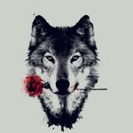Elliot Larson - @larsonelliot - Instagram