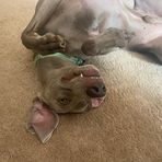Elliot Lawrence Stabler Russell - Facebook