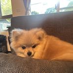 Elliot Le - Facebook