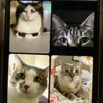 Elliot Lea Molly Stuart - @4spoiledkittiesofweston - Instagram